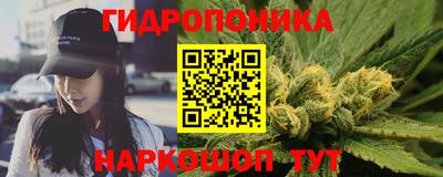 сатива Камышлов