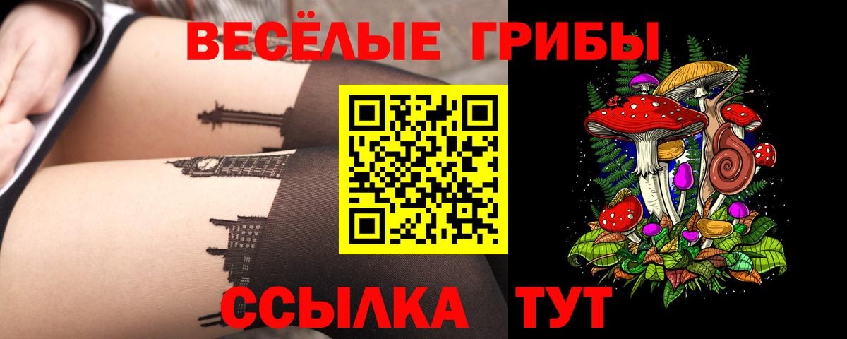 Псилоцибиновые грибы Psilocybe Глазов